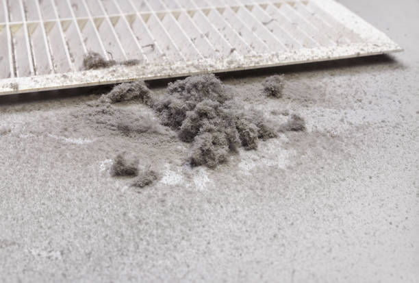 Best Air Duct Mold Removal  in Sharpsburg, PA